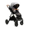 Carriola Joie Signature AERIA