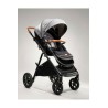 Carriola Joie Signature AERIA
